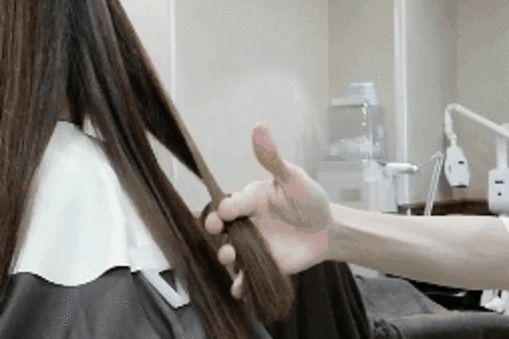 サンプル