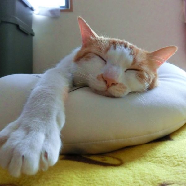 緊張しなくていいアットホームだから安心の美容室東京東久留米ラグリシン！